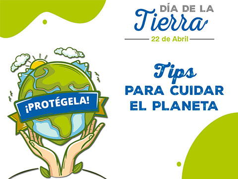 Tips para cuidar el medio ambiente desde casa